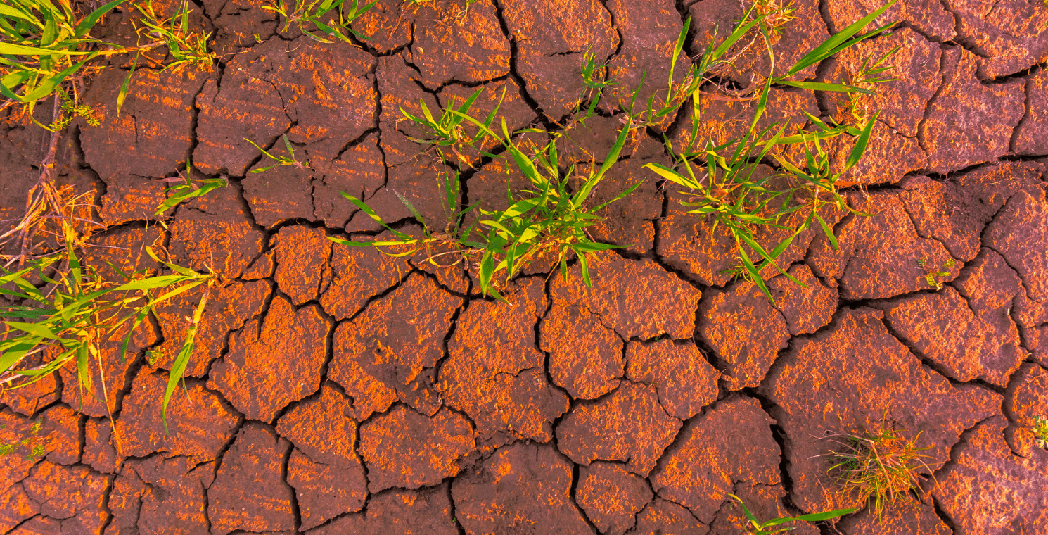 The Evolving Landscape of Risk